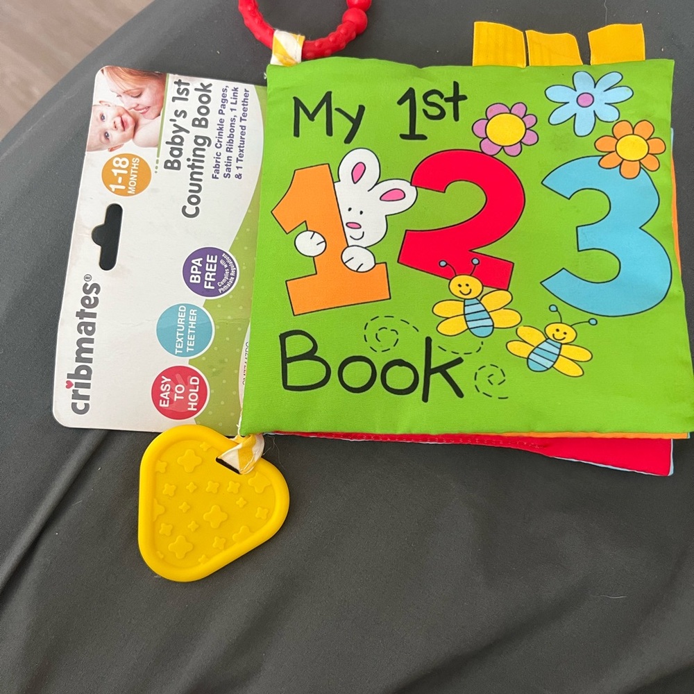 My 1st Counting Book - Multicolor